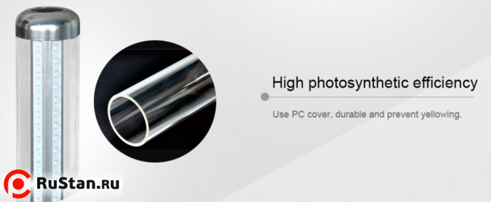 Высокая эффективность фотосинтеза M4S фото №5 Высокая эффективность фотосинтеза M4S фото №5